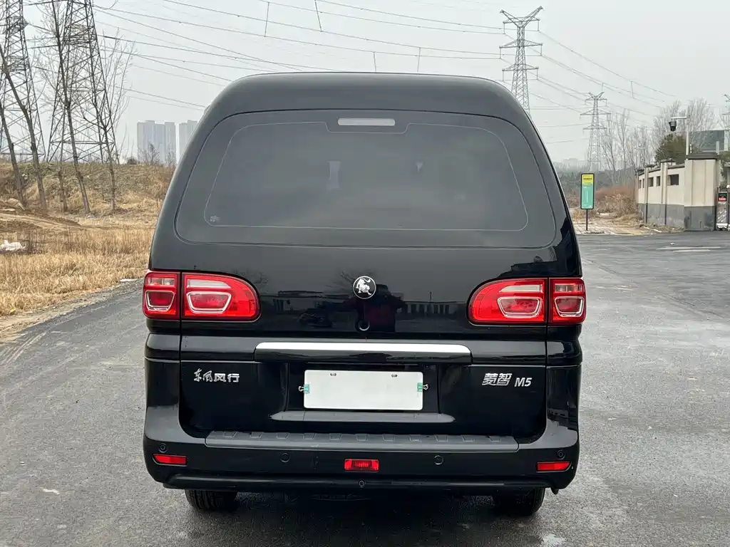 DONGFENG LINGZHI