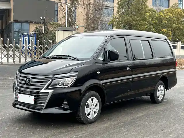 dongfeng lingzhi