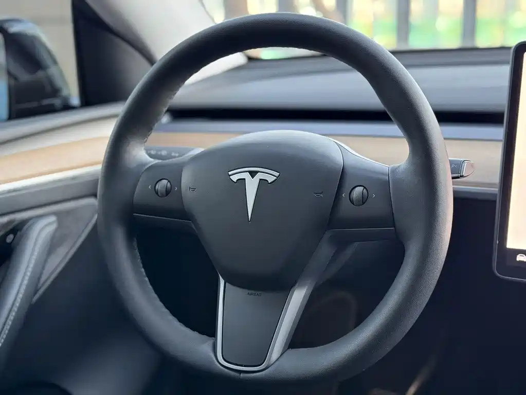 Tesla Model Y — миниатюра 8
