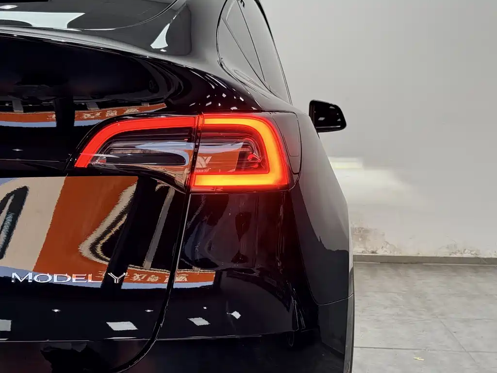Tesla Model Y — миниатюра 19