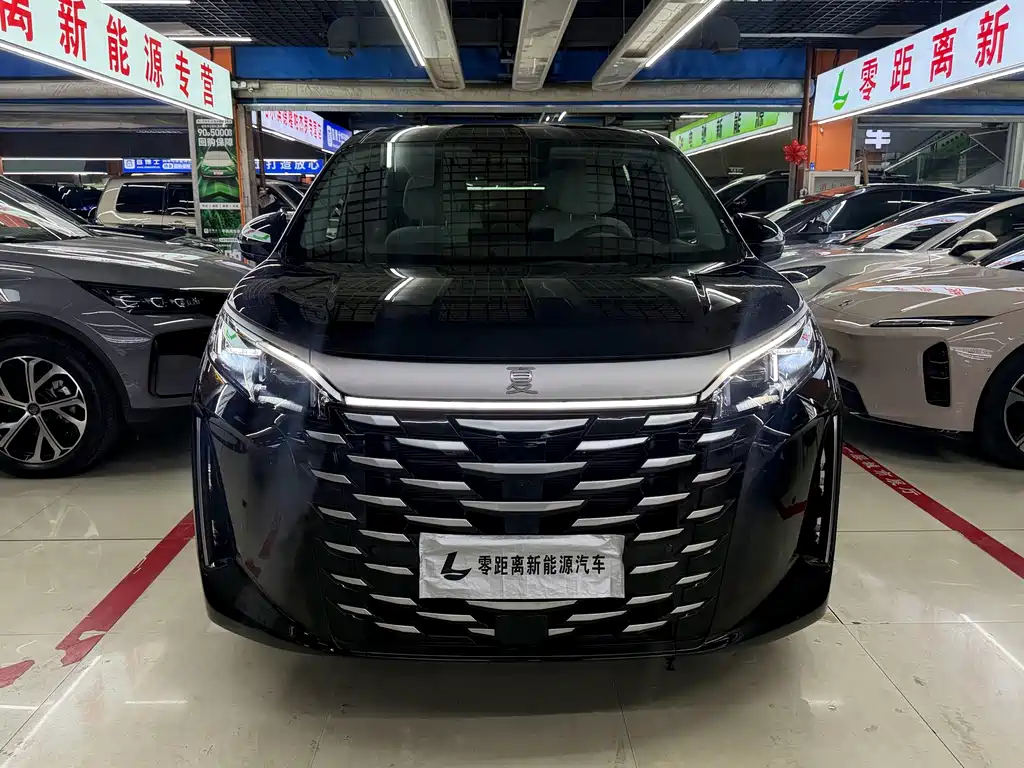 BYD Xia — миниатюра 2