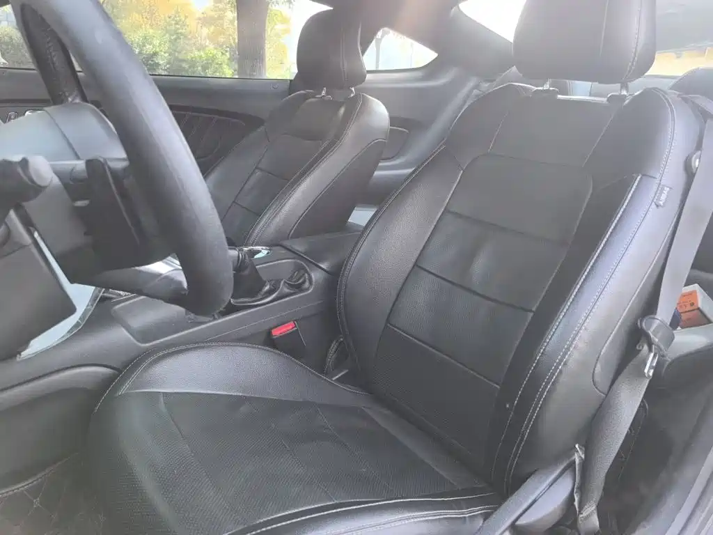 Ford Mustang — миниатюра 16