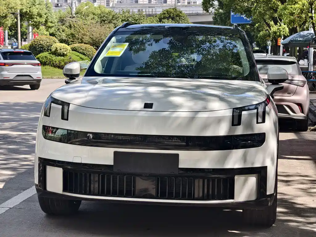 Lynk & Co Рука 900. — миниатюра 2