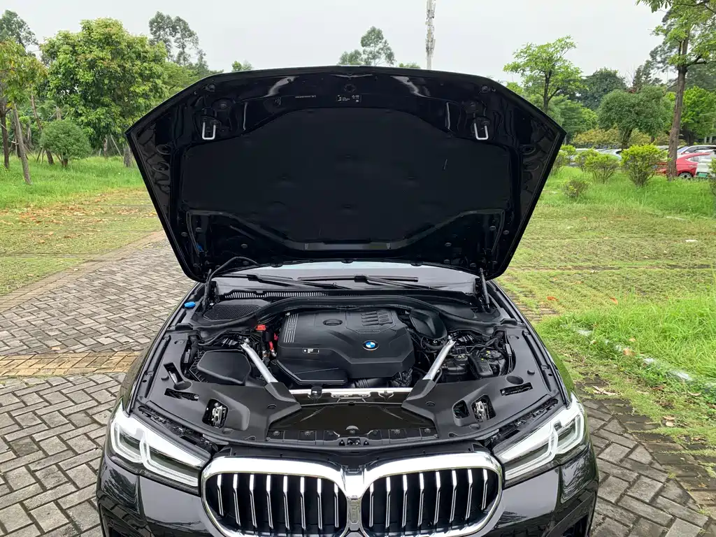 BMW 5 Series — миниатюра 14