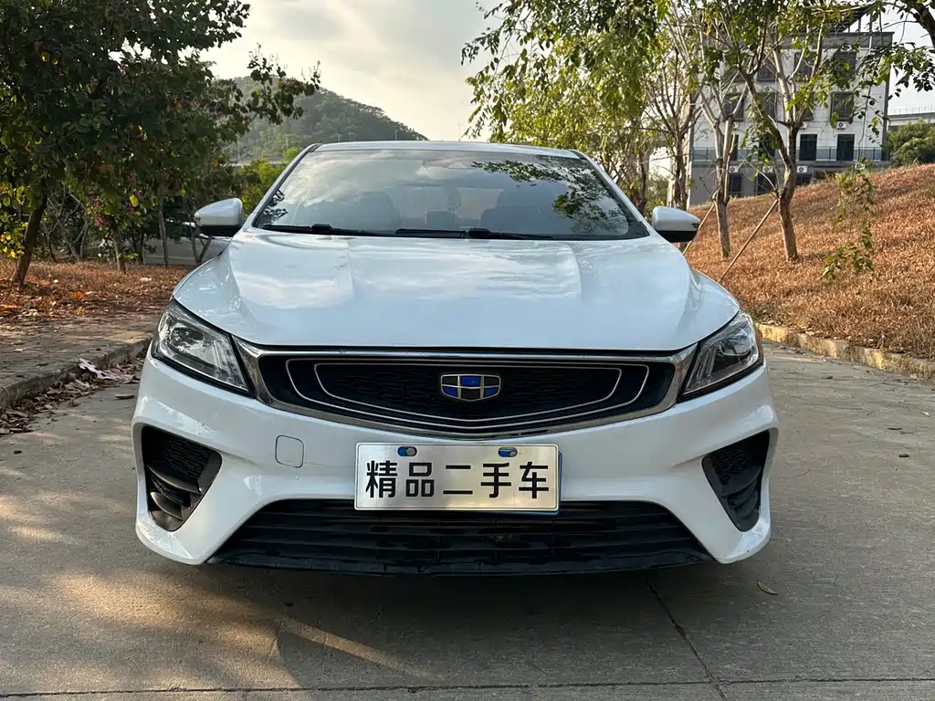 GEELY AUTOMOBILE BINRUI
