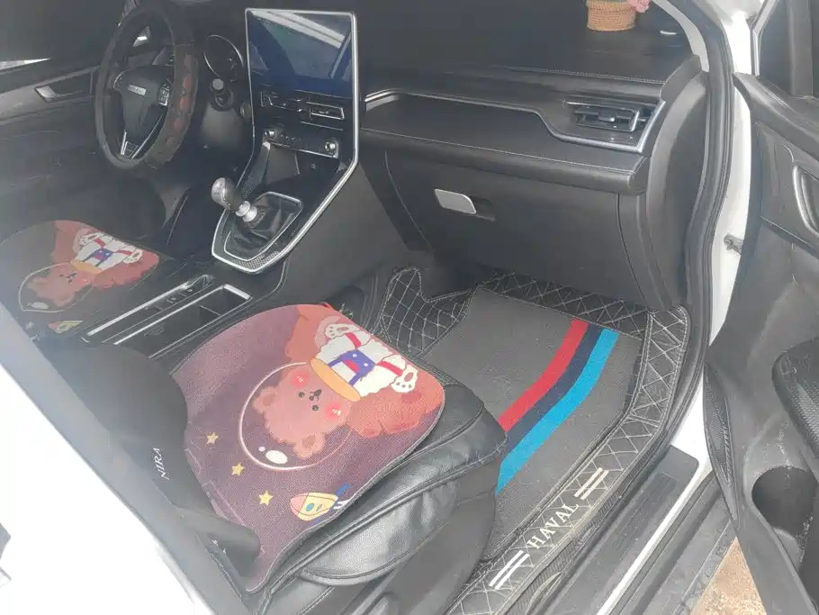 Haval M6 — миниатюра 8
