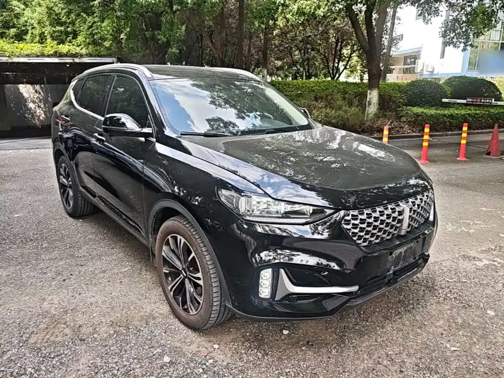 Wey Wey VV6 — миниатюра 4