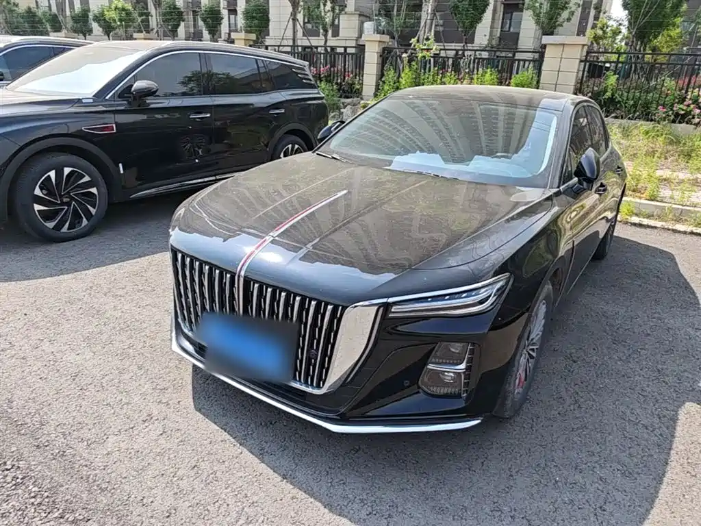 Hongqi Hongqi H5 2024