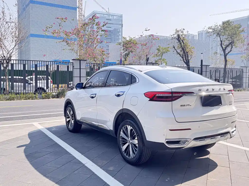 HAVAL F7X
