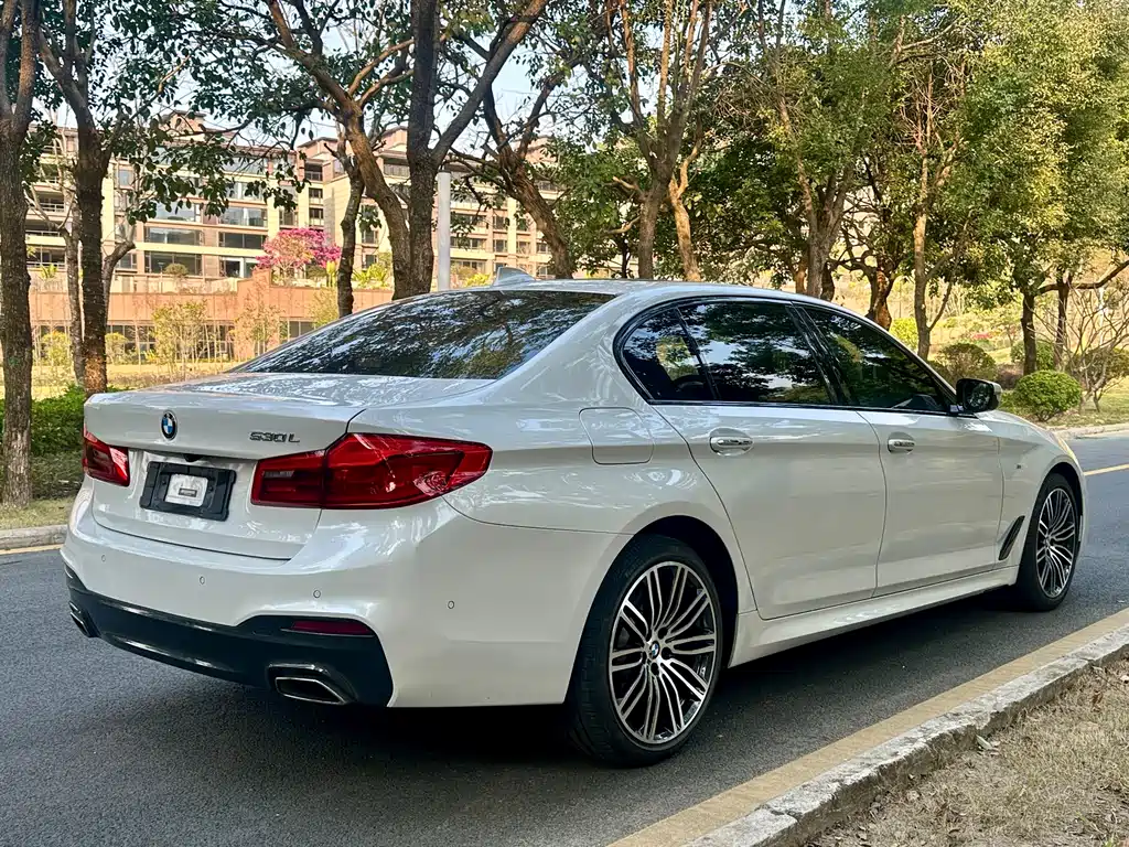 BMW 5 SERIES