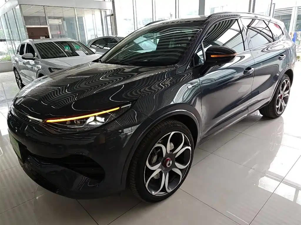 Denza Denza X 2020