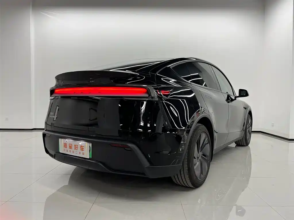 Tesla Model Y — миниатюра 4