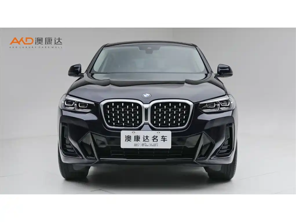BMW X4 — миниатюра 2