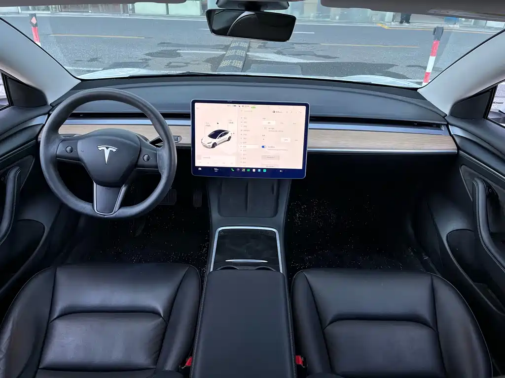 Tesla Model 3 — миниатюра 15