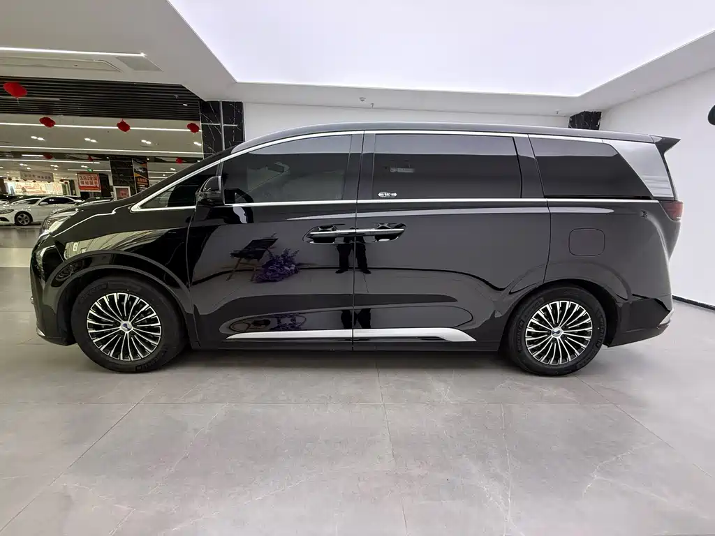 Denza Denza D9 — миниатюра 10