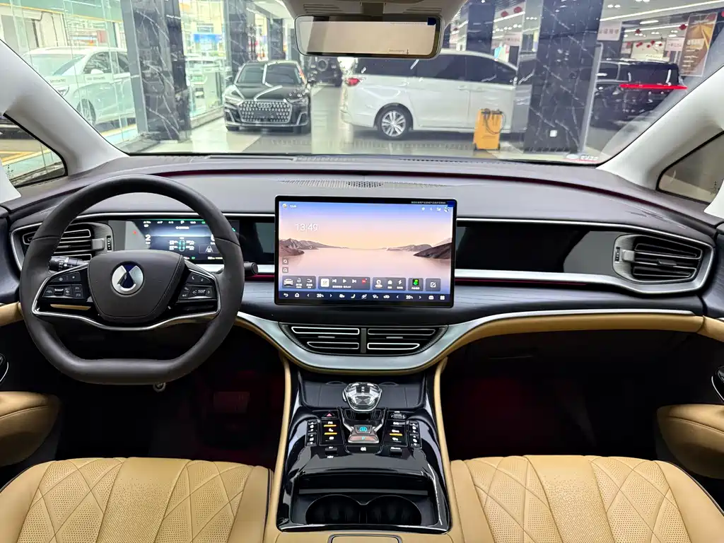 Denza Denza D9 — миниатюра 13