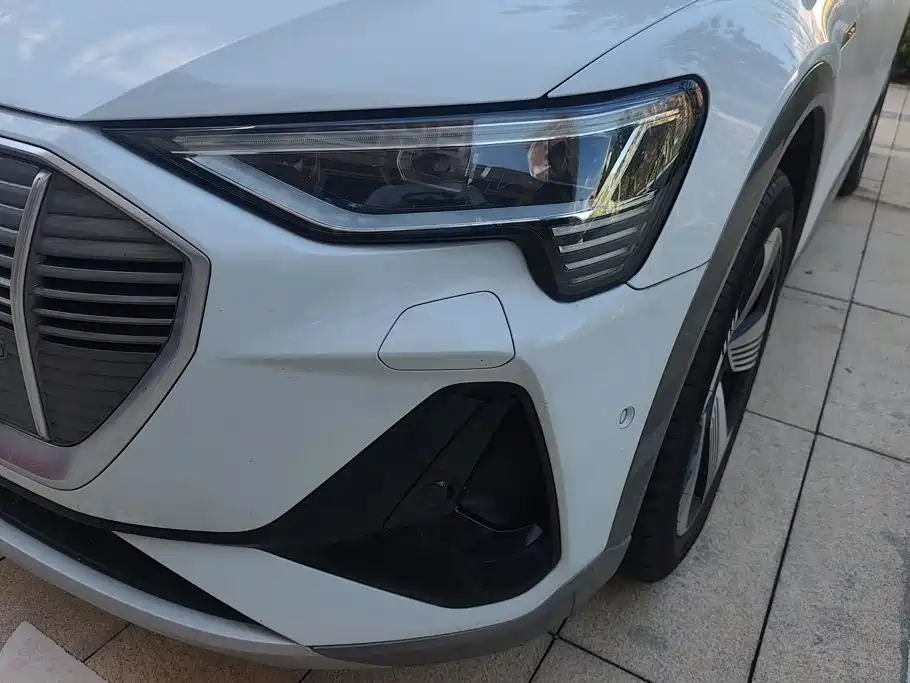 Audi e-tron (Import) — миниатюра 5