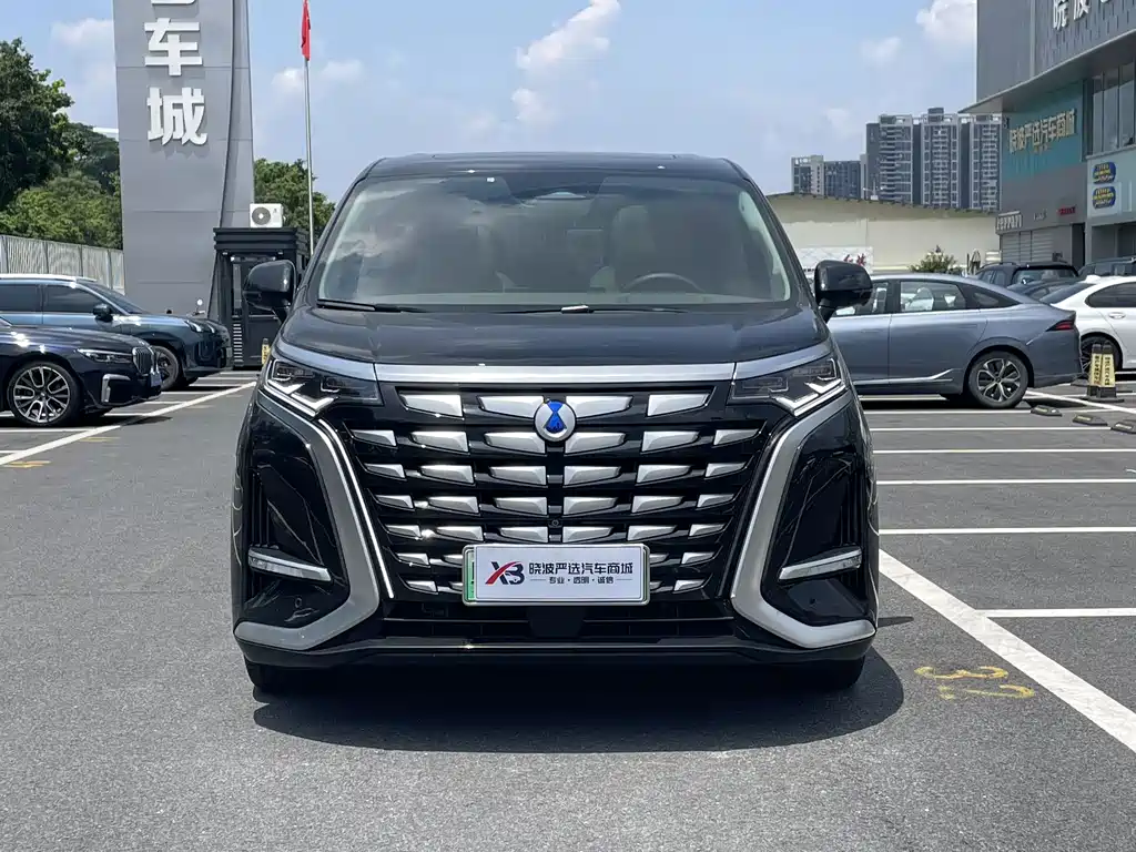 Denza Denza D9 — миниатюра 2