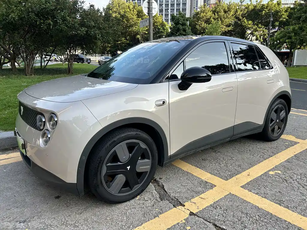 2025 Nio Firefly - zdjęcie 1 z 15