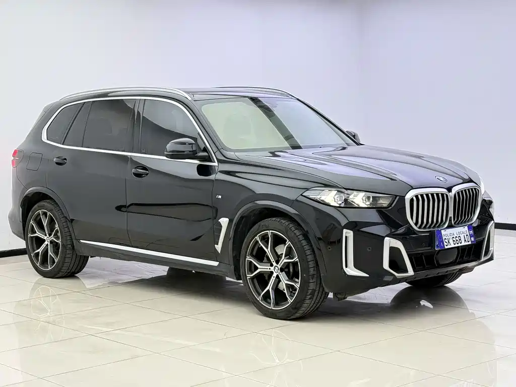 BMW X5 — миниатюра 2