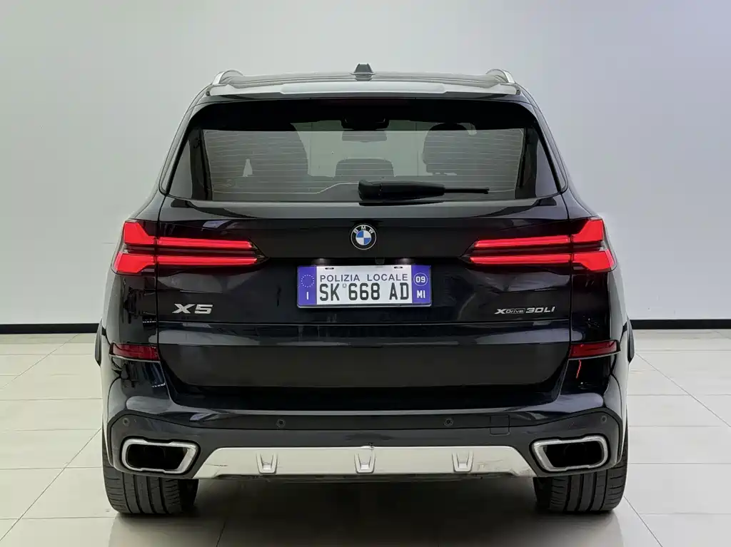 BMW X5 — миниатюра 10
