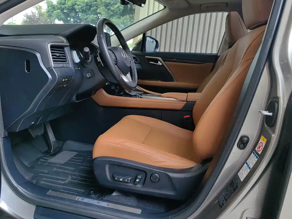 Lexus RX 2020 300 Elegant VI