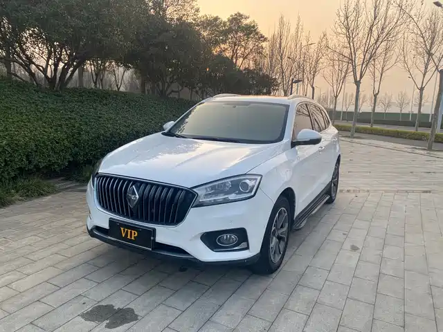 BORGWARD BAOWO BX7