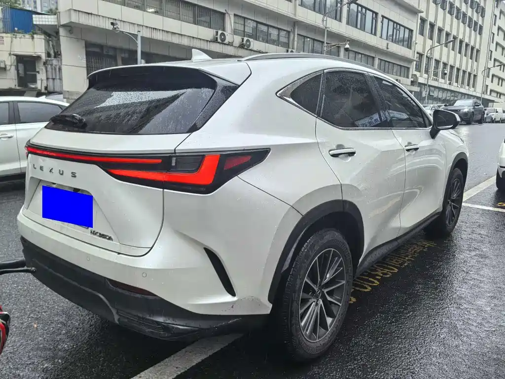 Lexus NX — миниатюра 10