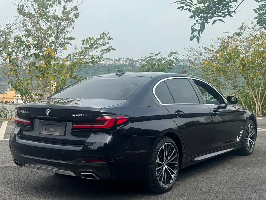 BMW 5 Series 5 2022 530Li Lead M Sport