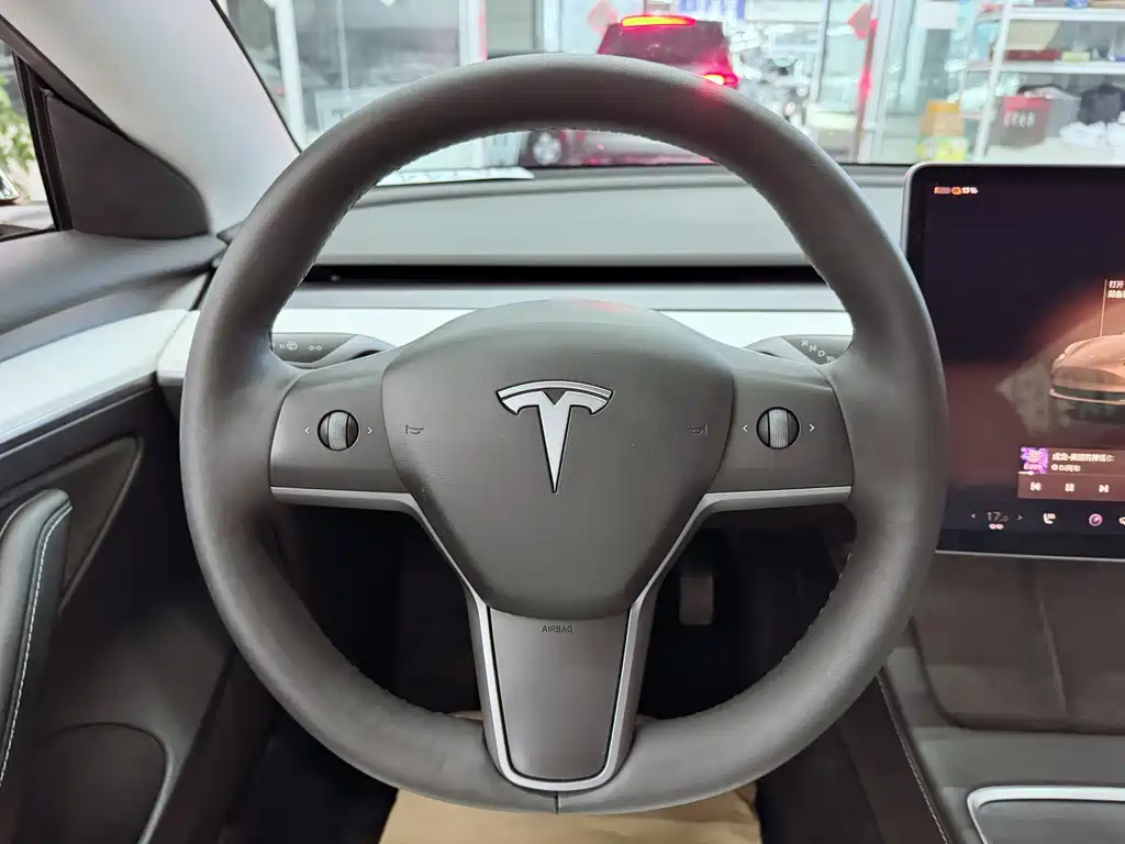 Tesla Model 3 — миниатюра 12