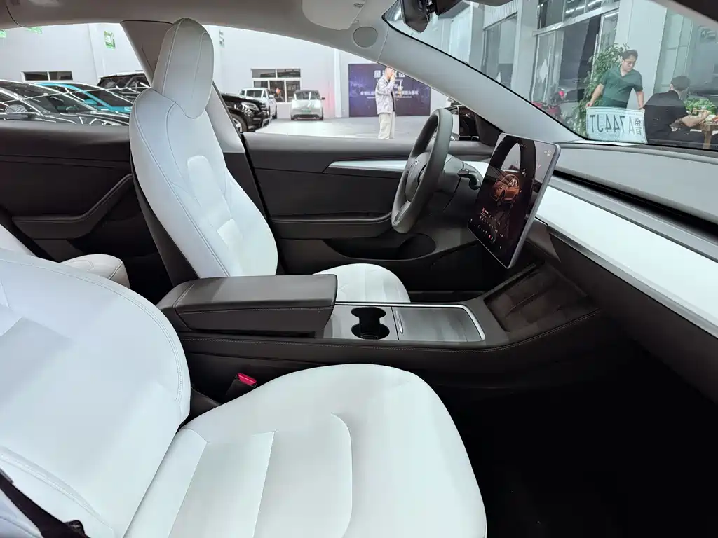 Tesla Model 3 — миниатюра 17