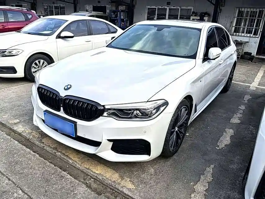BMW 5 Series 2019