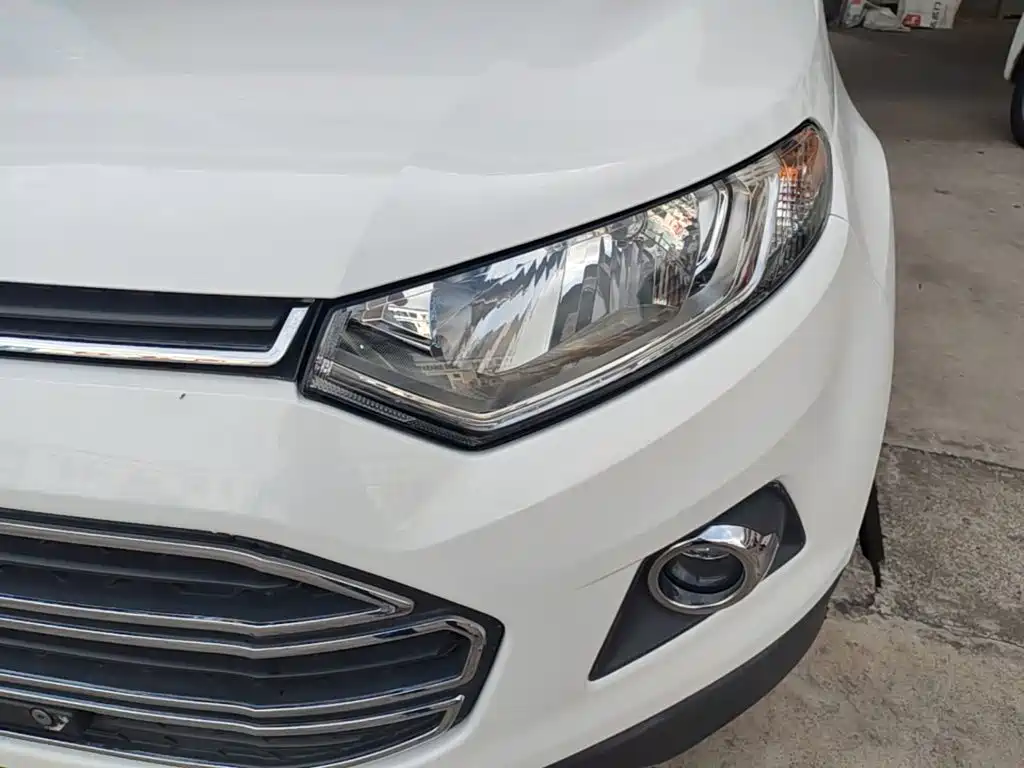 Ford Ecosport — миниатюра 24