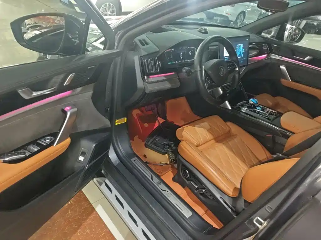 BYD Tang New Energy — миниатюра 16