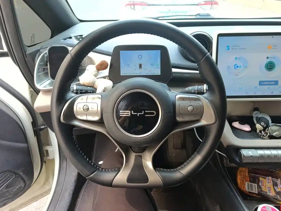 BYD Dolphin — миниатюра 15