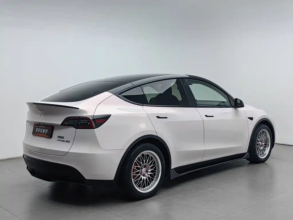 Tesla Model Y — миниатюра 2