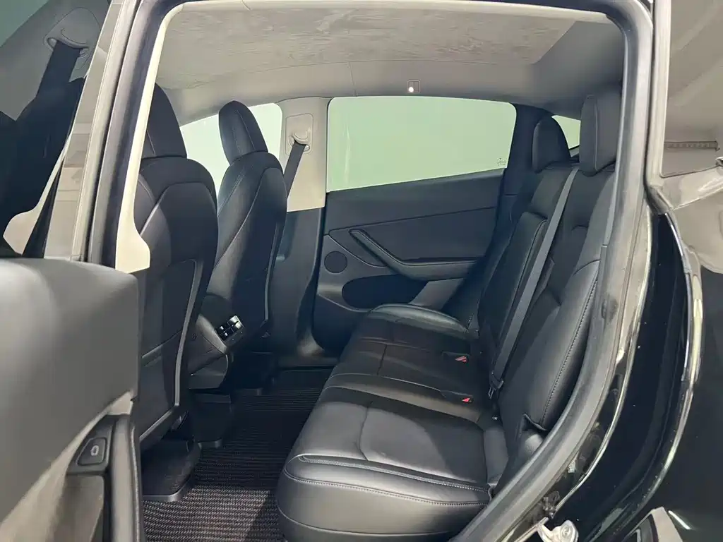 Tesla Model Y — миниатюра 4