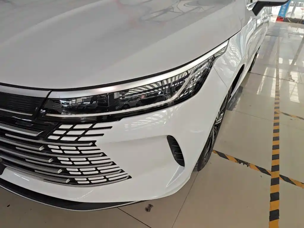 BYD Destroyer 05 — миниатюра 24