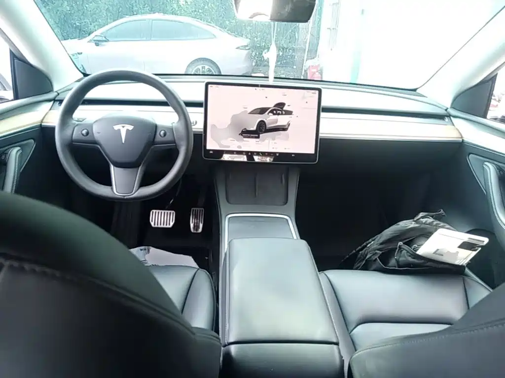 Tesla Model Y — миниатюра 10