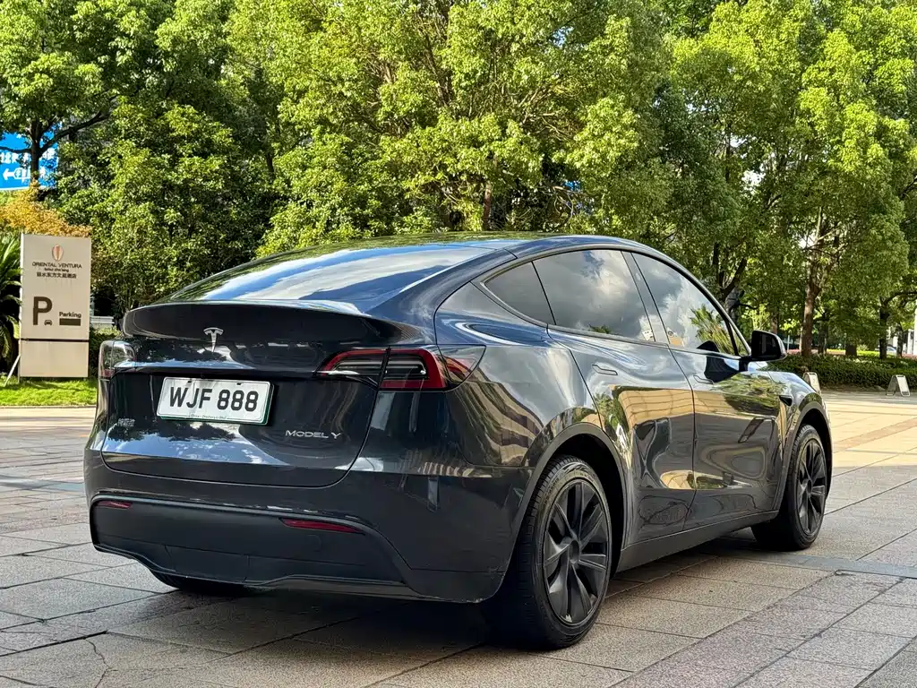 Tesla Model Y — миниатюра 6
