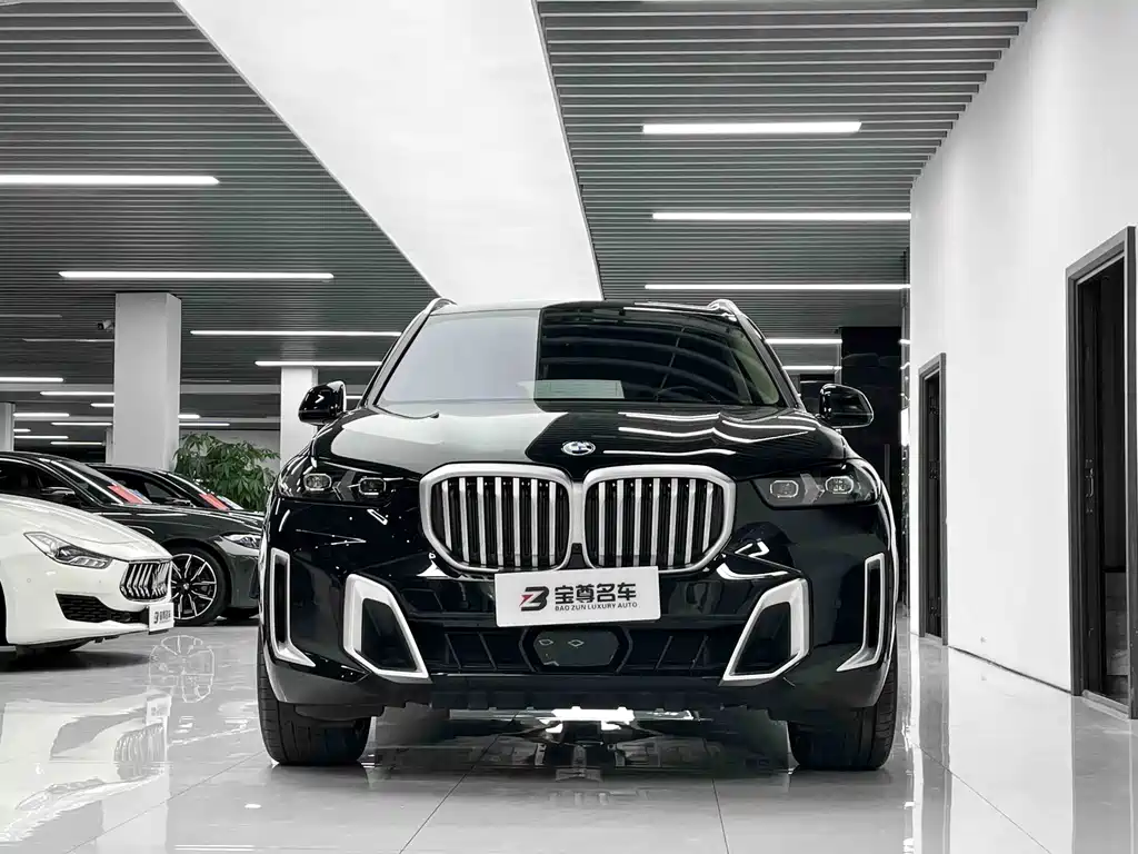 BMW X5 — миниатюра 2
