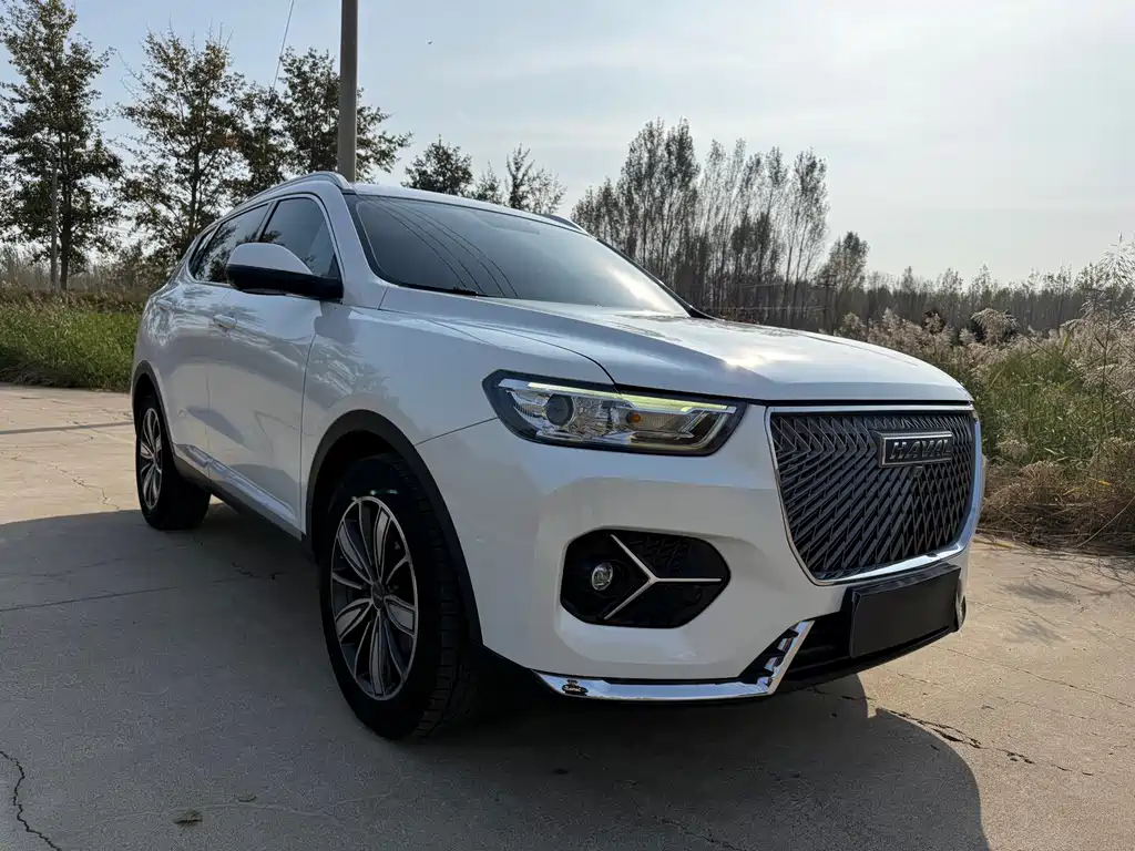 Haval H6 — миниатюра 3