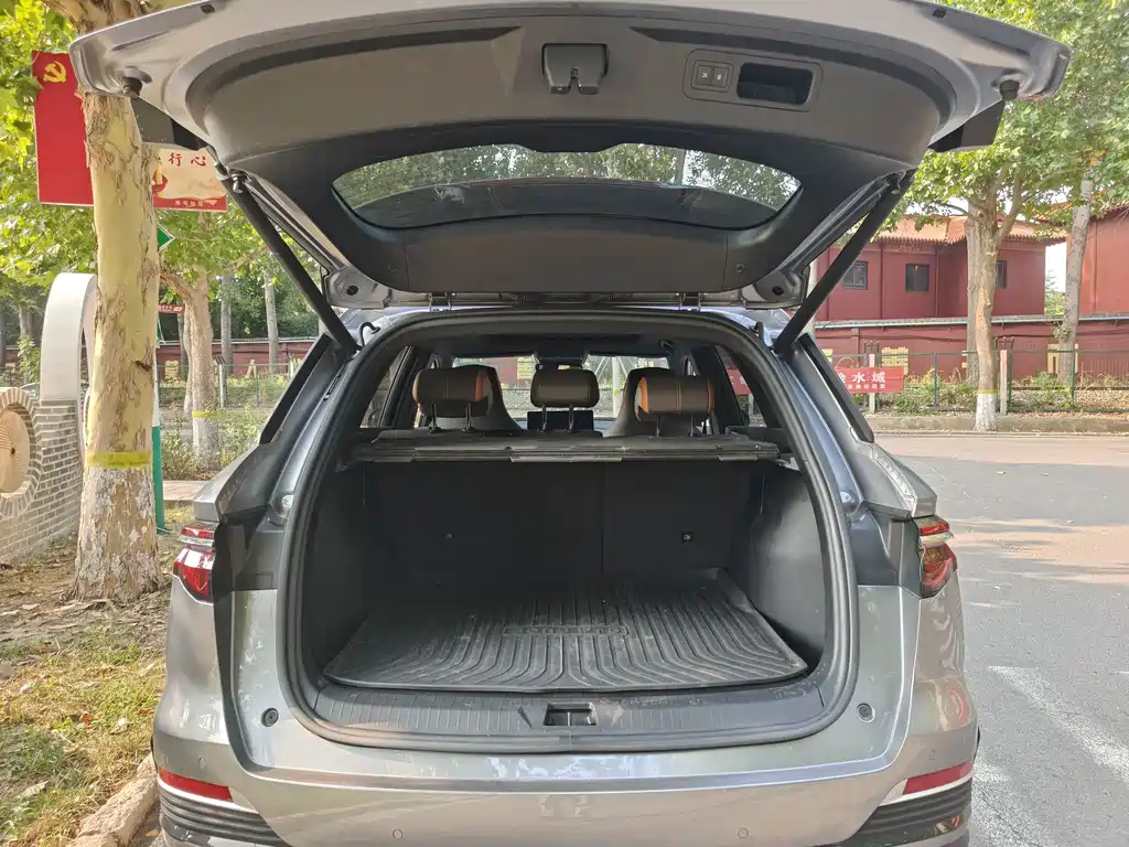 BYD Pro New Energy — миниатюра 12