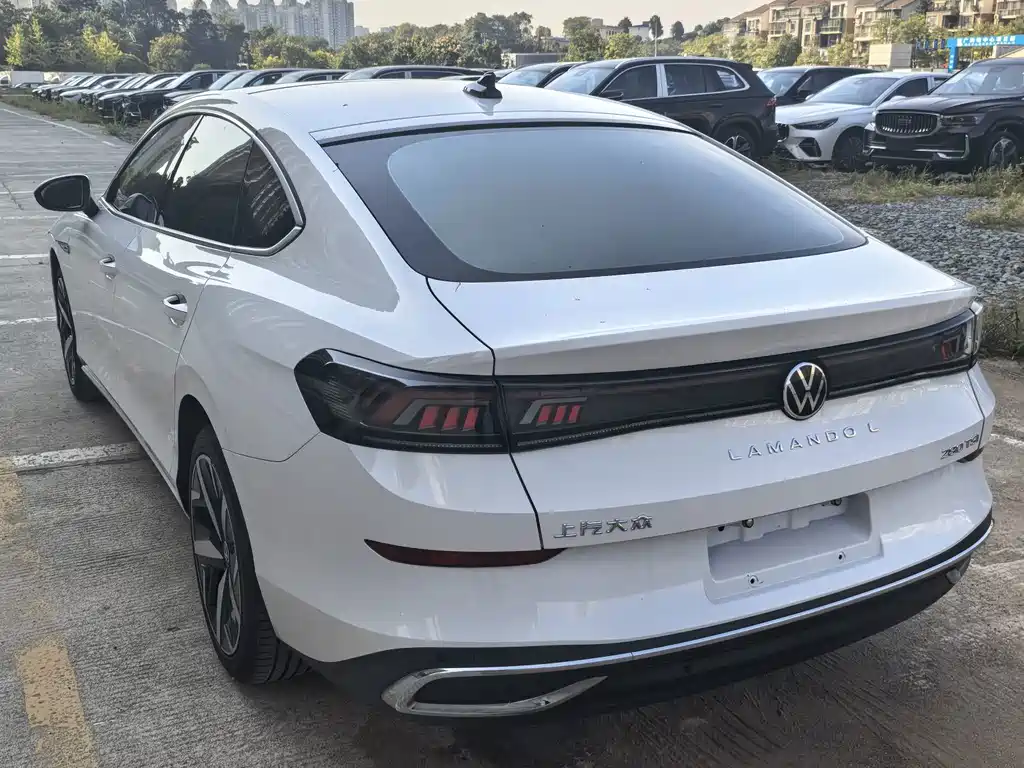 Volkswagen Lamando — миниатюра 6