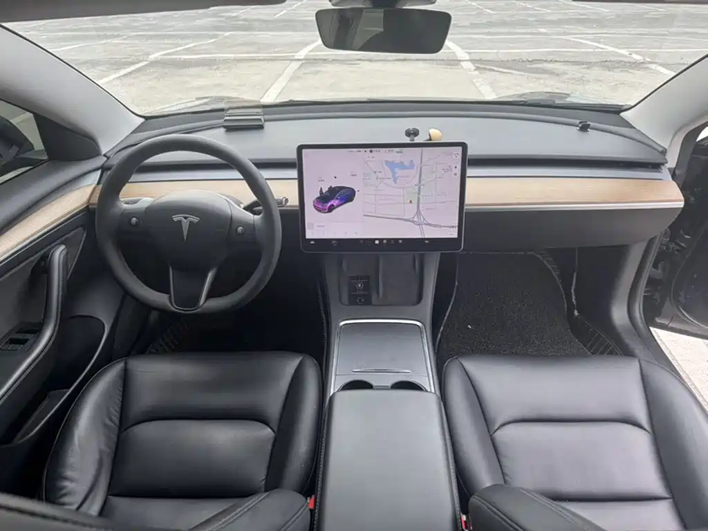 Tesla Model 3 — миниатюра 22