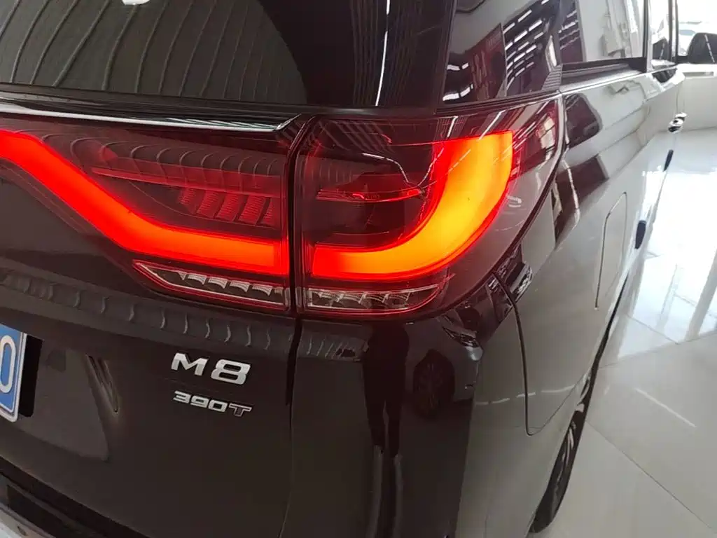 GAC Motor Trumpchi M8 — миниатюра 8
