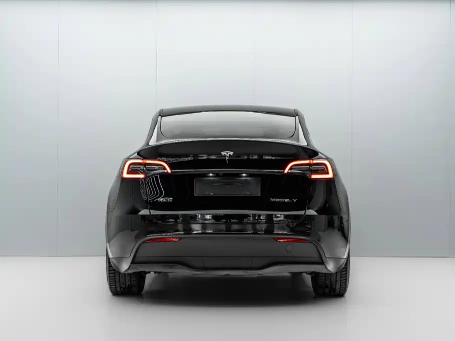 Tesla Model Y — миниатюра 6