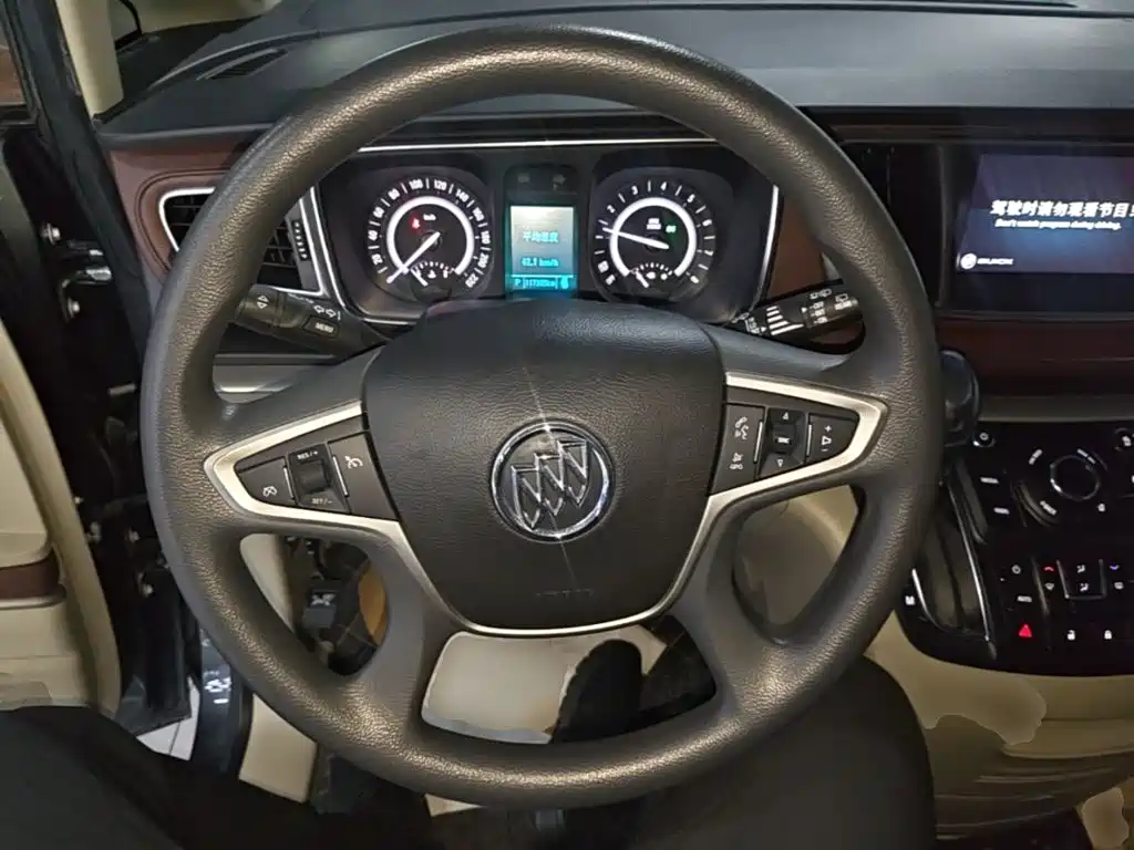 Buick GL8 — миниатюра 11