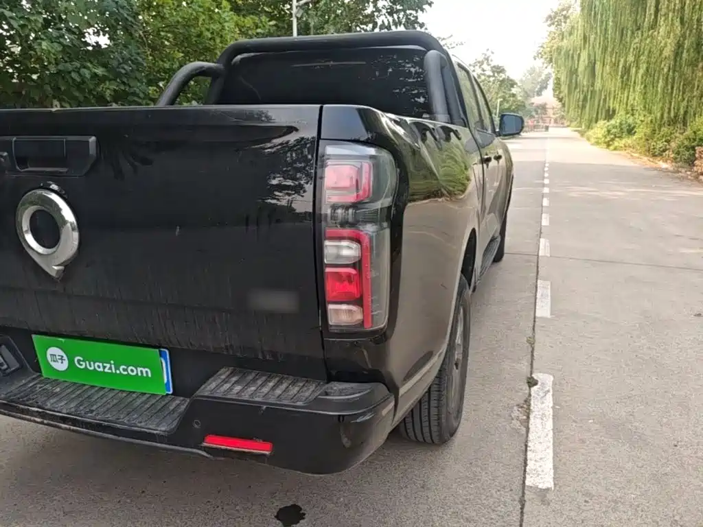 Great Wall Pao — миниатюра 8
