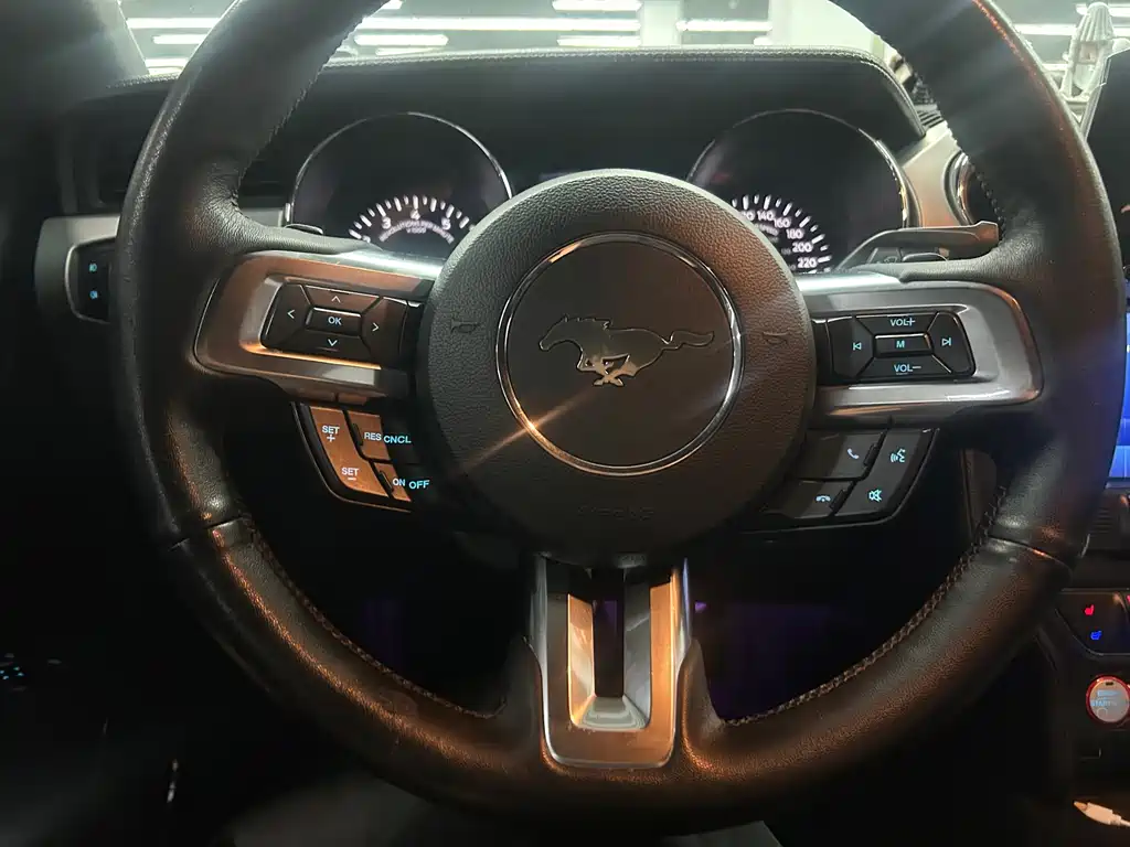 Ford Mustang — миниатюра 13